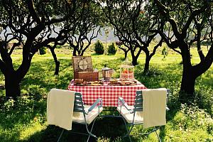 Picnic lunch