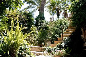 Boutique hotel in Mallorca