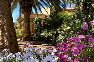 Boutique hotel with garden