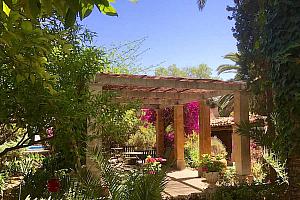 Pergola in the garden