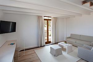 Duplex Suite with terrace