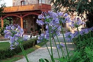 Hotel Jardin de Carrejo