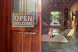 Hotel Son Sant Jordi