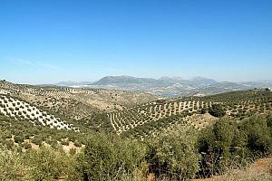 Hills around Iznajar lake