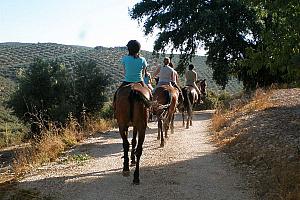 Pony trekking in Spain
