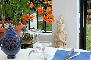 Dinner on the patio