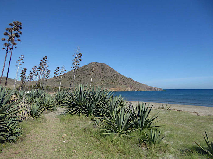 Almería coast