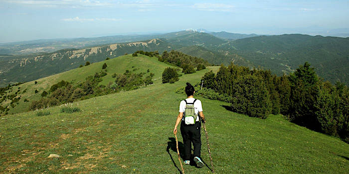 Pyrenees