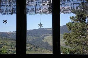 View from a window