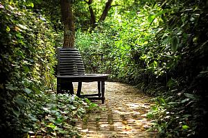 Luxuriant garden, hotel, Galicia