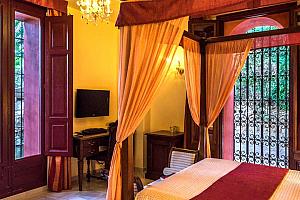 Bedroom with garden view