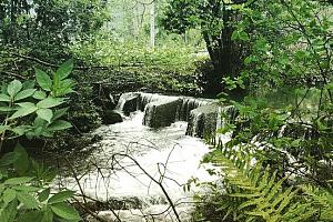 River flowing by