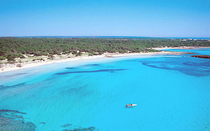 Bay of Alcudia