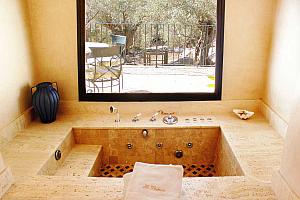 Spa bath with garden view