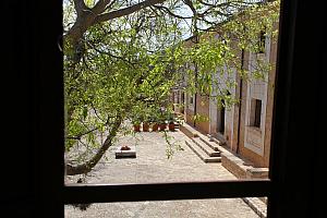 View from window