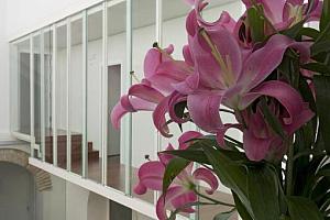 Gallery overlooking patio